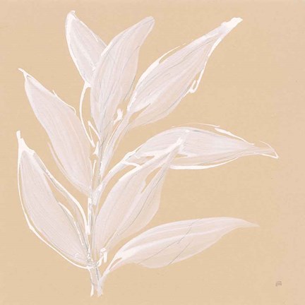 Framed Leaf Study II Print