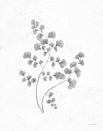 Framed Soft Summer Sketches IV Blue Print