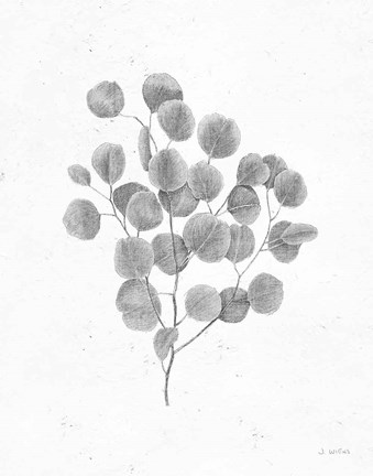 Framed Soft Summer Sketches II Blue Print