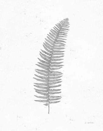 Framed Soft Summer Sketches I Blue Print