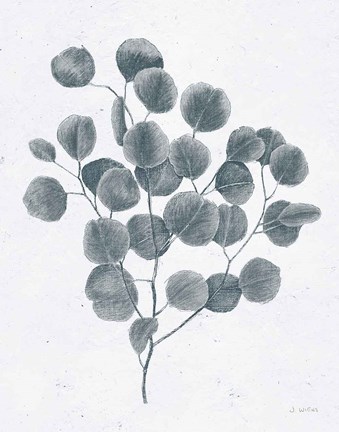 Framed Soft Summer Sketches II Blue Print