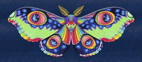 Framed Midnight Rainbow Moth Print