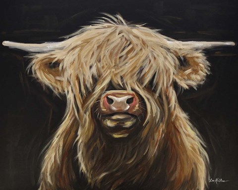 Framed Highland Cow On Black 1 Shamus Print