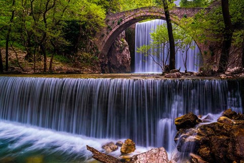 Framed Spring Feast Print