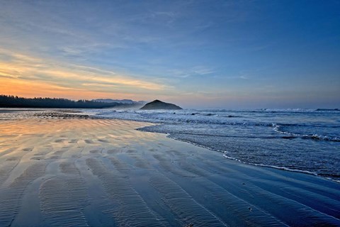 Framed Sandy Shore Print