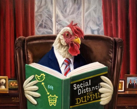 Framed Bird Brain Print