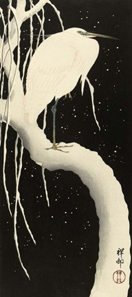 Framed Snowy Egret, 1925-1936 Print