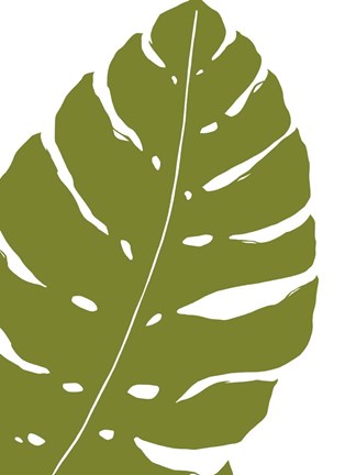 Framed Monstera Print