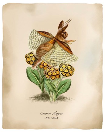 Framed Hoppers Print