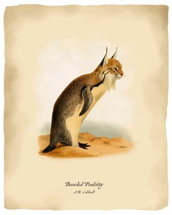 Framed Pen-Kitty Print