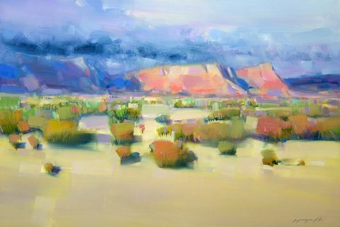 Framed Canyon View II Print