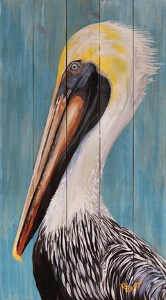 Framed Pelican Print