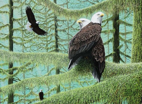 Framed Gathering of Eagles Print