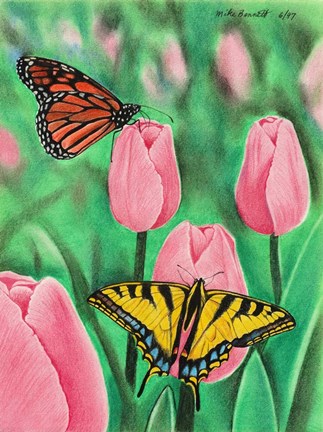 Framed Butterflies and Tulips Print