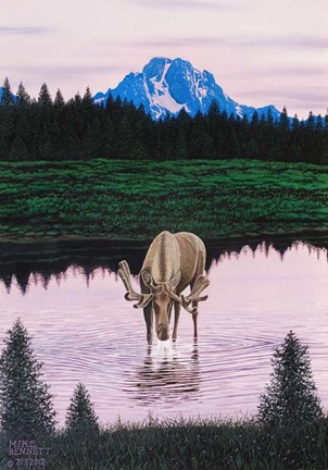Framed Moose near Mt. Moran Print