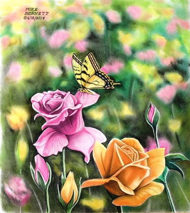 Framed Tiger Swallowtail in Rose Garden Print
