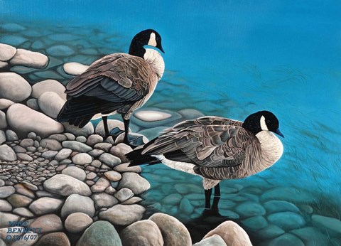 Framed Two Canadian Geese Print