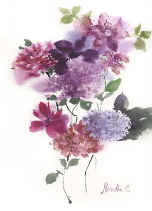 Framed Flower Series 10 Print