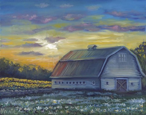 Framed Floral Sunrise Print