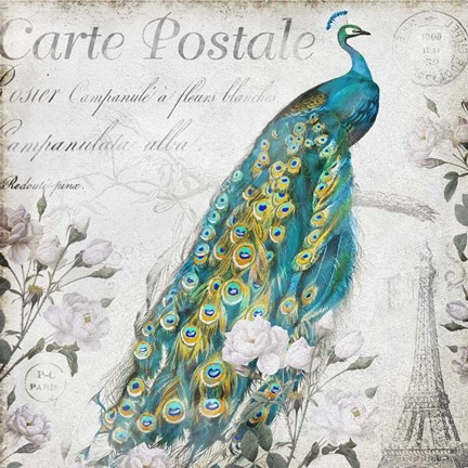 Framed Peacock Rose Print