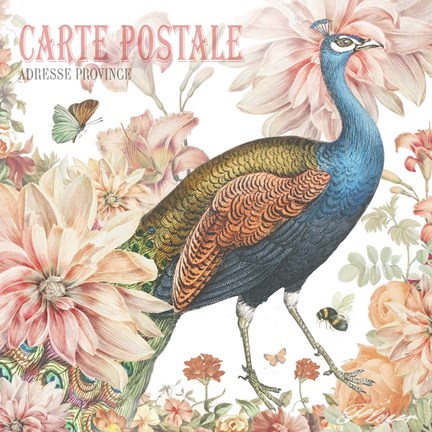 Framed Garden Peacock Print