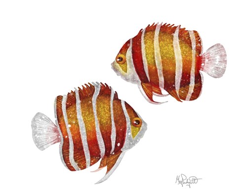 Framed Ocean- Peppermint Angelfish Print