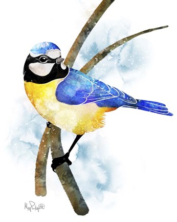 Framed Songbirds- Blue Titmouse Print