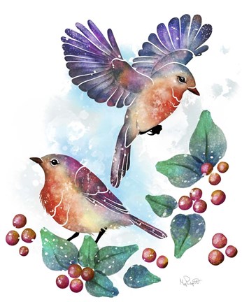 Framed Songbirds- Euro Robins Print