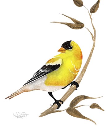 Framed Songbirds- Goldfinch Print