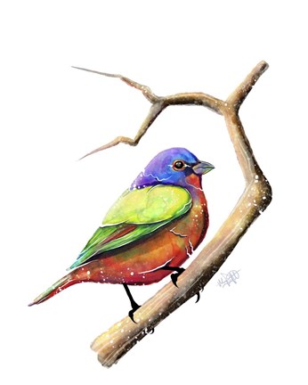 Framed Songbirds- Painted Bunting Print