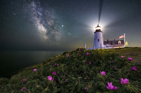 Framed Stars and Roses Print