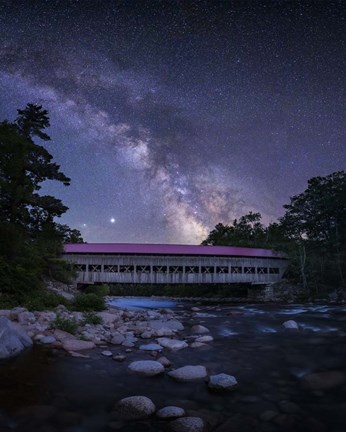 Framed Over and Under 2 Print