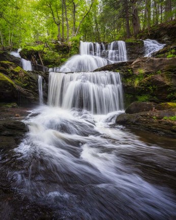Framed Spring at Garwin Falls - Vertical Print