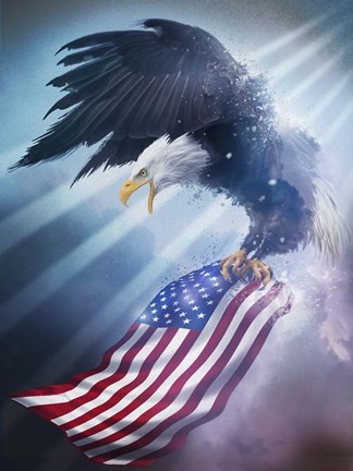 Framed Eagle 1 Print