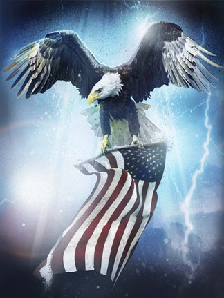 Framed Eagle 3 Print