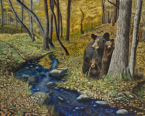 Framed 2 Bears Autumn Stroll Print