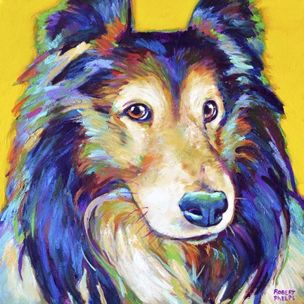 Framed Sheltie on Yellow Print