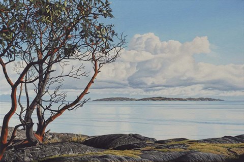 Framed Early Spring Arbutus Print