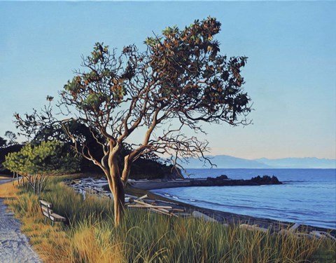 Framed Evening Arbutus Print