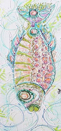 Framed Fish Circle Belly Print