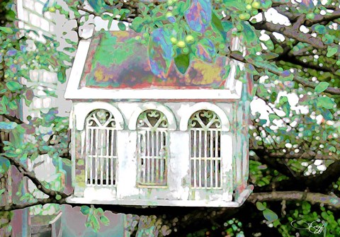 Framed Garden IV Print