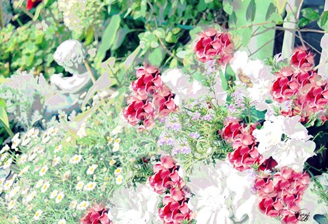 Framed Garden VI Print