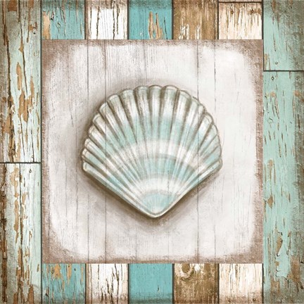 Framed Shell Print