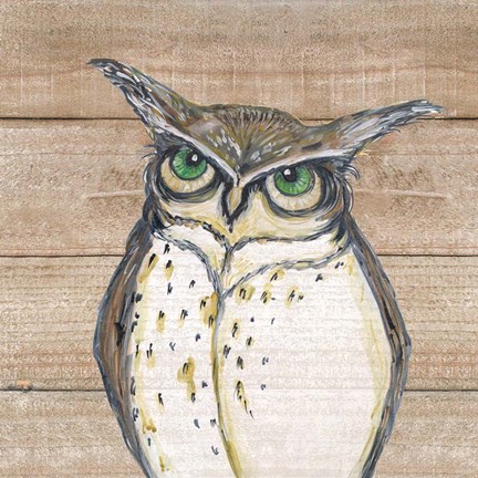 Framed Owl Print