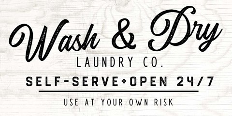 Framed Wash and Dry II Print