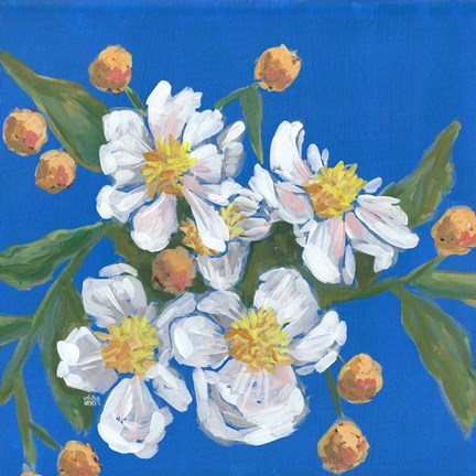 Framed Blue White Flowers Print