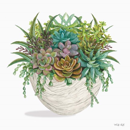 Framed Succulent on White II Print