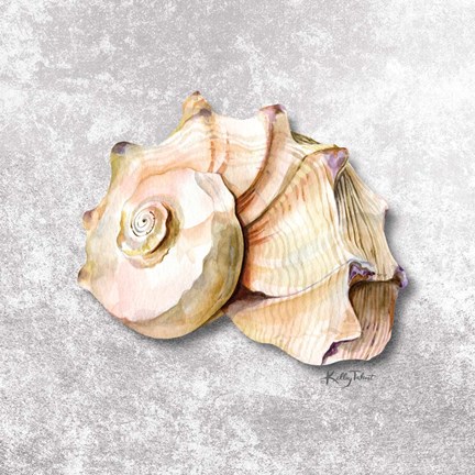 Framed Shell Collector I Print