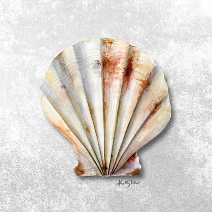 Framed Shell Collector II Print