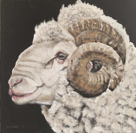 Framed Portrait of a Ram Print